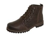 Bota